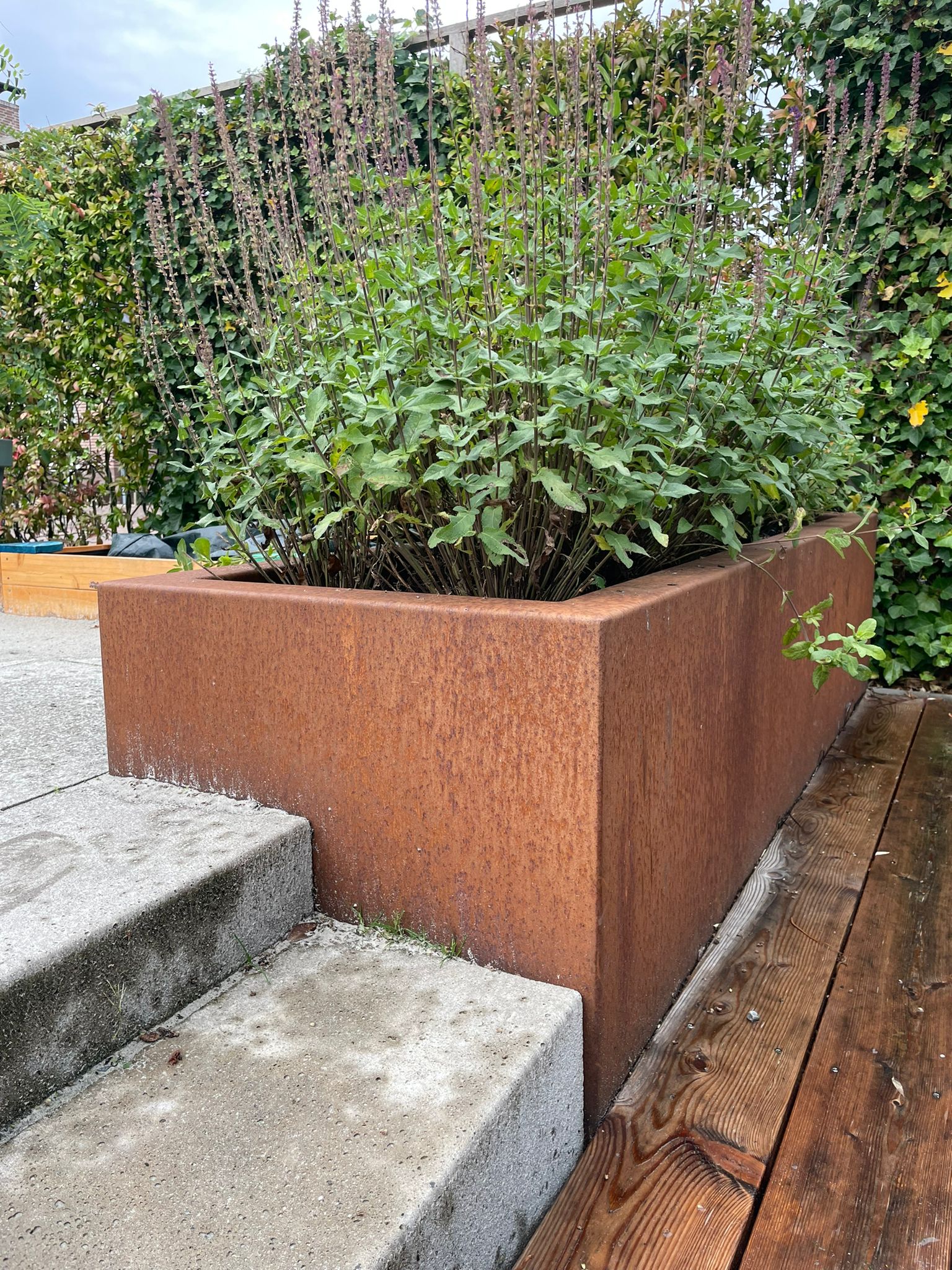 Cortenstalen plantenbakken Staalenz 2